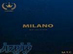 آلبوم کاغذ دیواری میلانو MILANO 