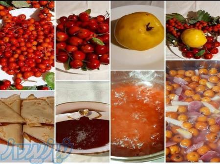 پکتین و پودر ژلاتین و گوارگام 