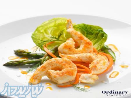 رنگ خوراکی طبیعی برای جوجه های نیمه آماده 