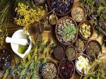 آموزشی روش های تکثیر گیاهان دارویی 