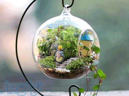 آموزش تراریوم و ویواریوم 