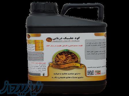 جلبک دریایی مایع 