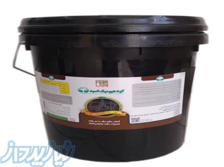 کود هیومیک مایع سطل (20 لیتری) 