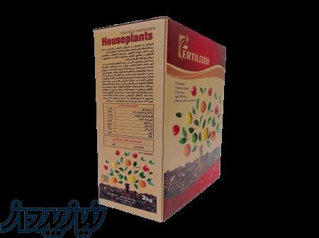 کود پودری گیاهان اپارتمانی 