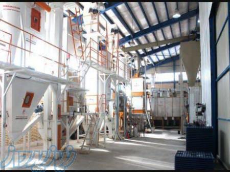 کارخانه تولید خوراک ماهی کپور و قزل الا (صادراتی)