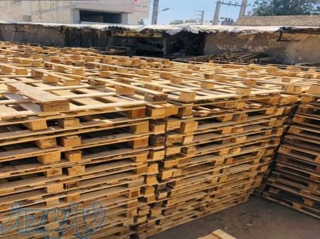 پالت سازی سهیل 