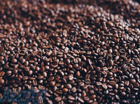 دستگاه سورتر هوشمند قهوه 