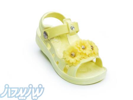 تولیدوپخش عمده انواع دمپایی وکفش وصندل زنانه،مردانه،بچگانه 