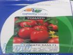 فروش بذر گوجه راسا اینفینیتی سیدز 