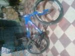 فروش دوچرخه دندای آیوکس 