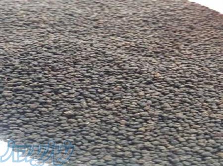 فروش چای عمده 