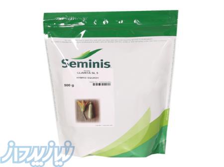 بذر کدو سبز هیبرید  SL5 