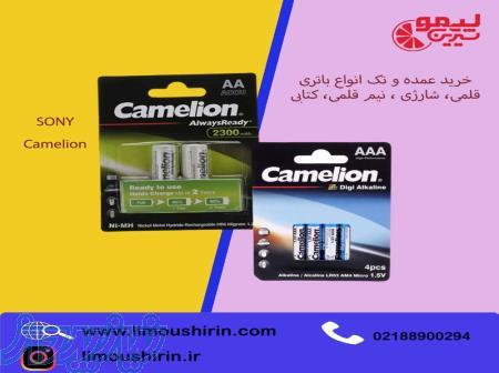 خرید تکی و عمده انواع باتری شارژی، نیم قلمی، قلمی، سکه‌ای، کتابی 