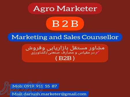 خدمات بازاریابی وفروش مقیاس کشاورزی و صنعتی(B2B) 