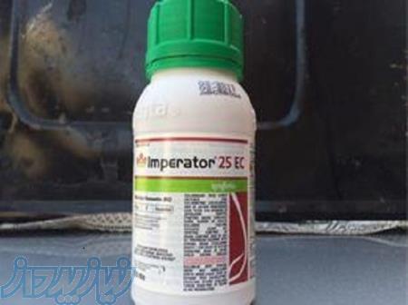 توزیع سم حشره کش امپراطور 