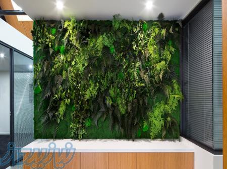 دیوارسبز(گیرین وال) 