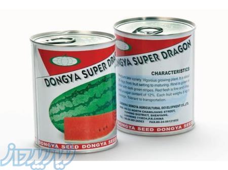 بذر هندوانه دراگون 