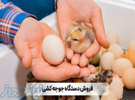 فروش دستگاه جوجه کشی با بالاتری نراندمان 