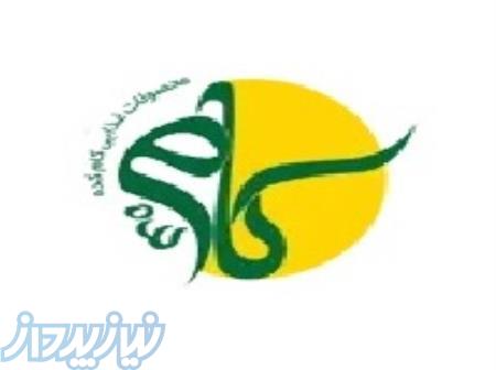 بازاریابی مواد غذایی 