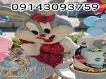 جذب مشتری با تن پوشهای عروسکی فانتزی تبلیغاتی و نمایشگاهی بهره مند 09143093759 
