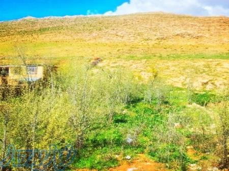 سویت اجاره در چشمه دیمه 