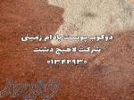 پوست بادام زمینی 
