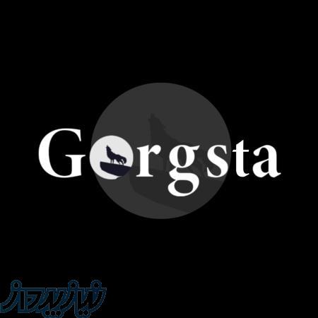 طراحی سایت ، اپلیکیشن، سئو در گرگان   گرگستا