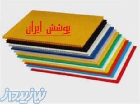 پلی کربنات  فایبر  ایرانیت پلاستیکی  طلق کریستال  کارتن پلاست     