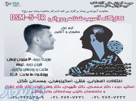 کارگاه آسیب شناسی روانی بر اساس DSM-5-TR 