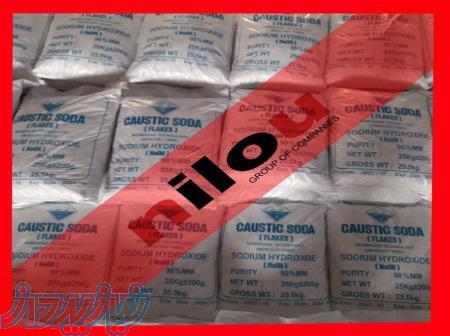 صادرات سود پرک گروه نیلو 