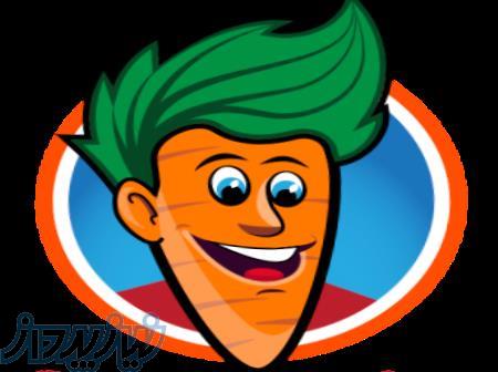 میوه و صیفی جات 