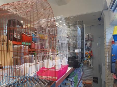 فروش لوازم و خوراک پرندگان زینتی 