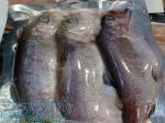 ماهی منجمد بسته بندی شده 