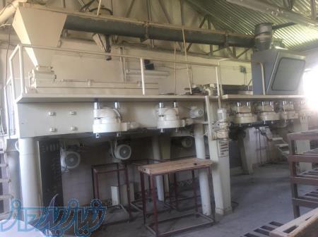 خط تولید ماکارونی 