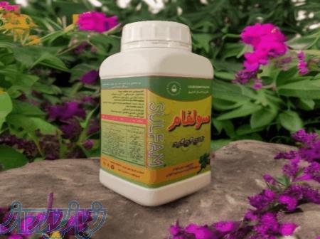 نانو گوگرد نانو سولفور 