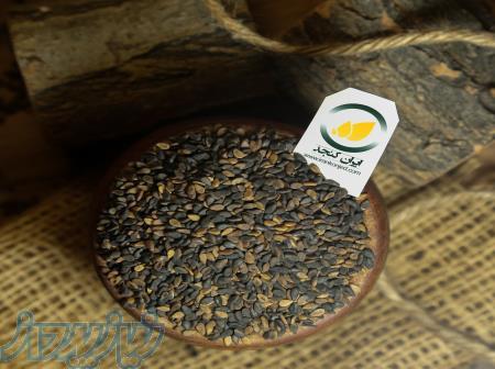 فروش کنجد سیاه شسته شده، کنجد مشکی و کنجد نانوایی