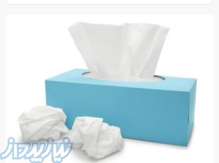 تولید دستمال کاغذی مرغوب 