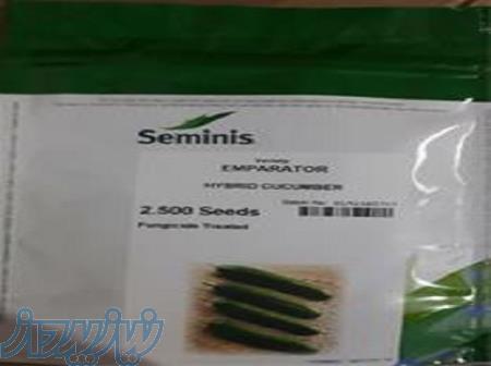 بذر خیار امپراطور اصل 