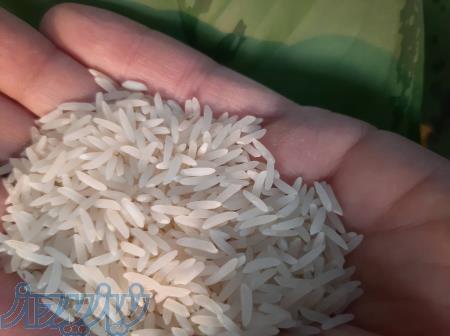 عرضه عمده و خرده برنج ایرانی شمال درجه یک 