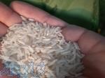 عرضه عمده و خرده برنج ایرانی شمال درجه یک 