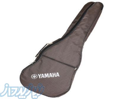 کیف گیتار 