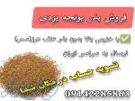 خرید و فروش بذر یونجه یزدی 