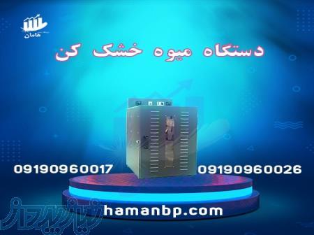 دستگاه میوه خشک کن ، دستگاه میوه خشک کن برقی و صنعتی 