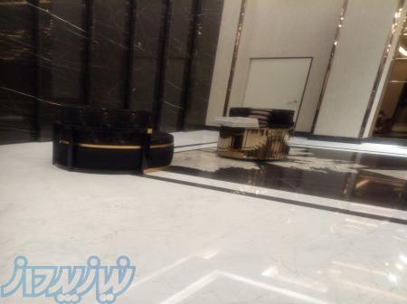 شرکت نظافتی پاک طراوت دیاکو 