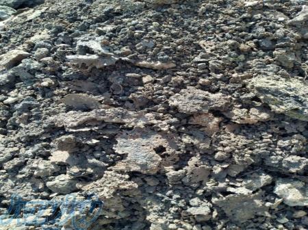 شلاکه قوسی و القایی 