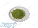 فروش عمده پودر ماچا تشریفاتی ژاپن 