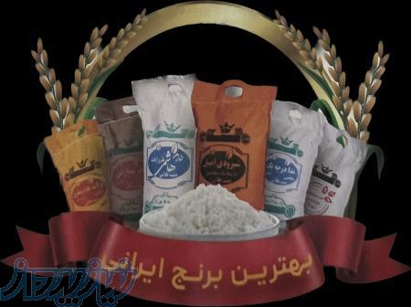 تهیه، تامین و توضیع محصولات شکر، روغن، برنج، حبوبات و غلات و نهاده های دام و طیور و کشاورزی 