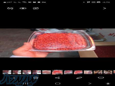 زرشک تازه دان و شاخه و خوشه 