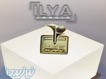 بج سینه ایلیا 