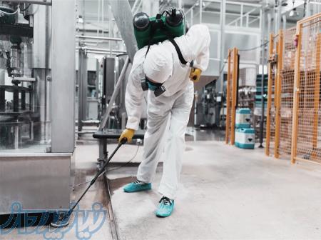 سمپاشی منازل و رستوران در کرج  سمپاشی سوسک، ساس، کنه، موریانه 